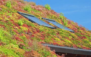 Walpole Highway living roof systems