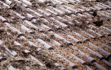 Walpole Highway roof cleaning companies